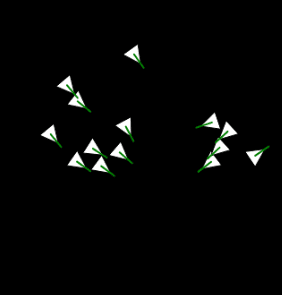 Image of Boids